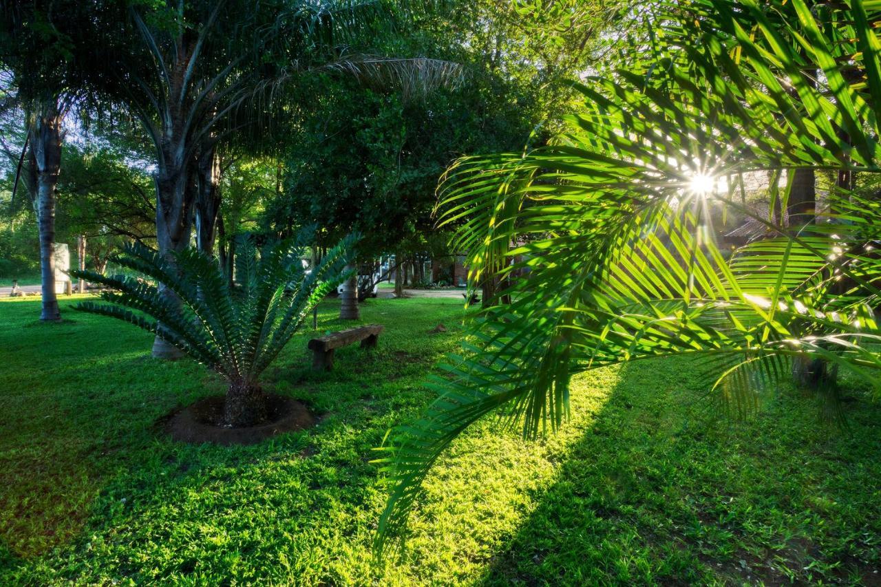 Doringpoort Lodge Marloth Park Ngoại thất bức ảnh