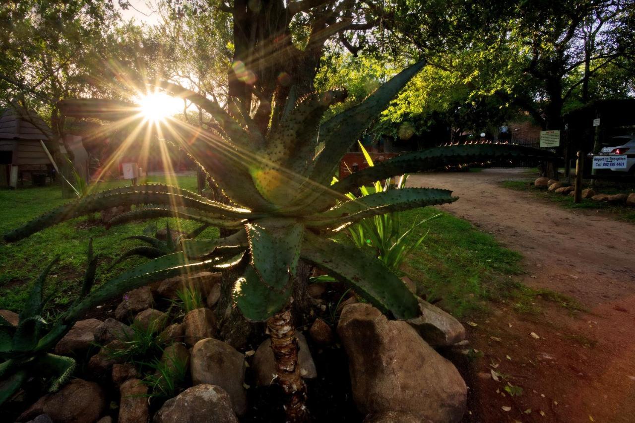 Doringpoort Lodge Marloth Park Ngoại thất bức ảnh