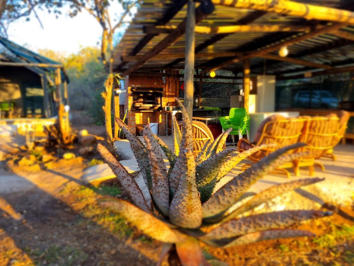 Doringpoort Lodge Marloth Park Ngoại thất bức ảnh