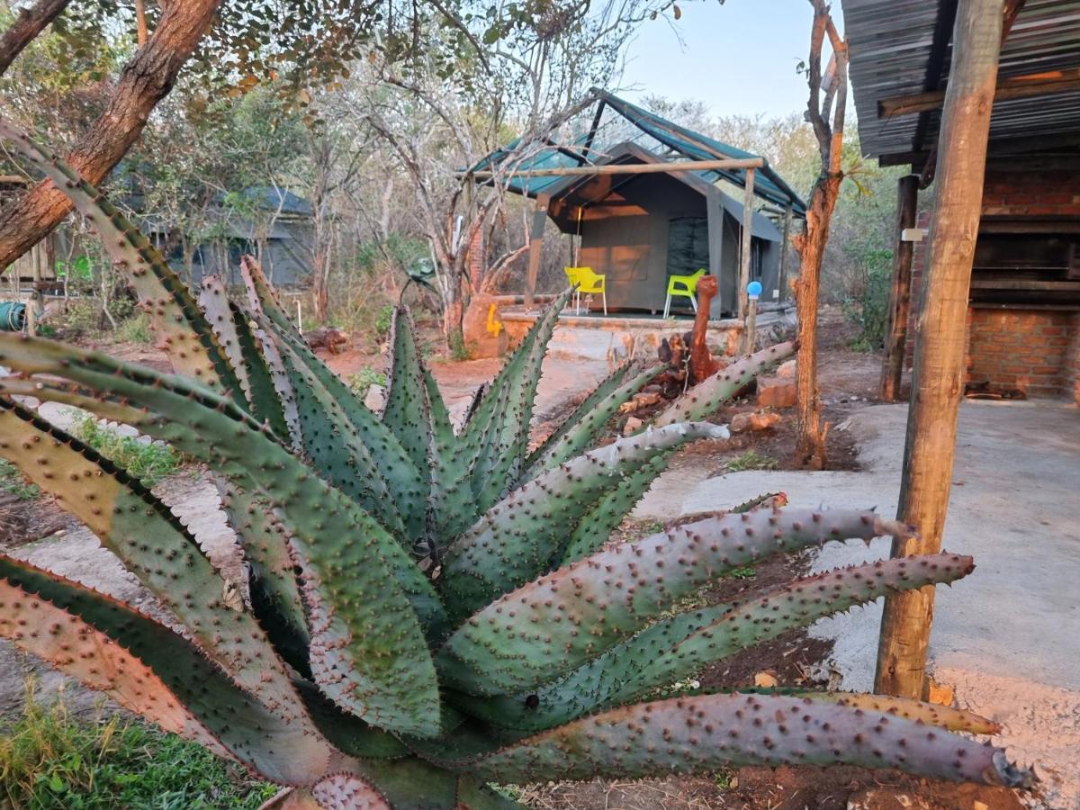 Doringpoort Lodge Marloth Park Ngoại thất bức ảnh