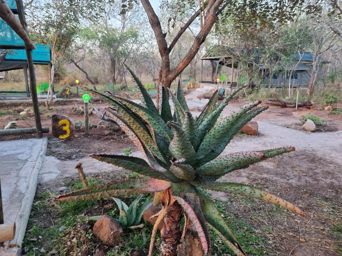 Doringpoort Lodge Marloth Park Ngoại thất bức ảnh