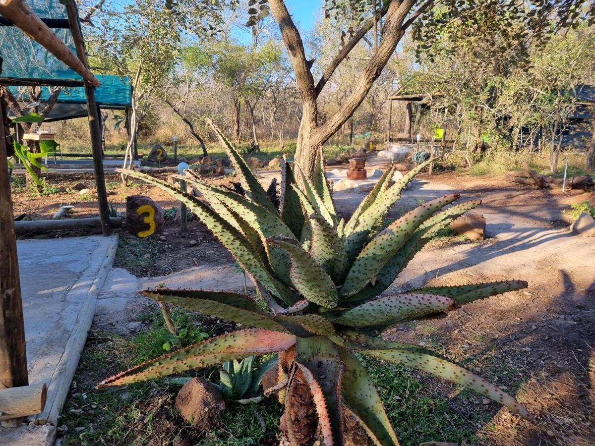 Doringpoort Lodge Marloth Park Ngoại thất bức ảnh
